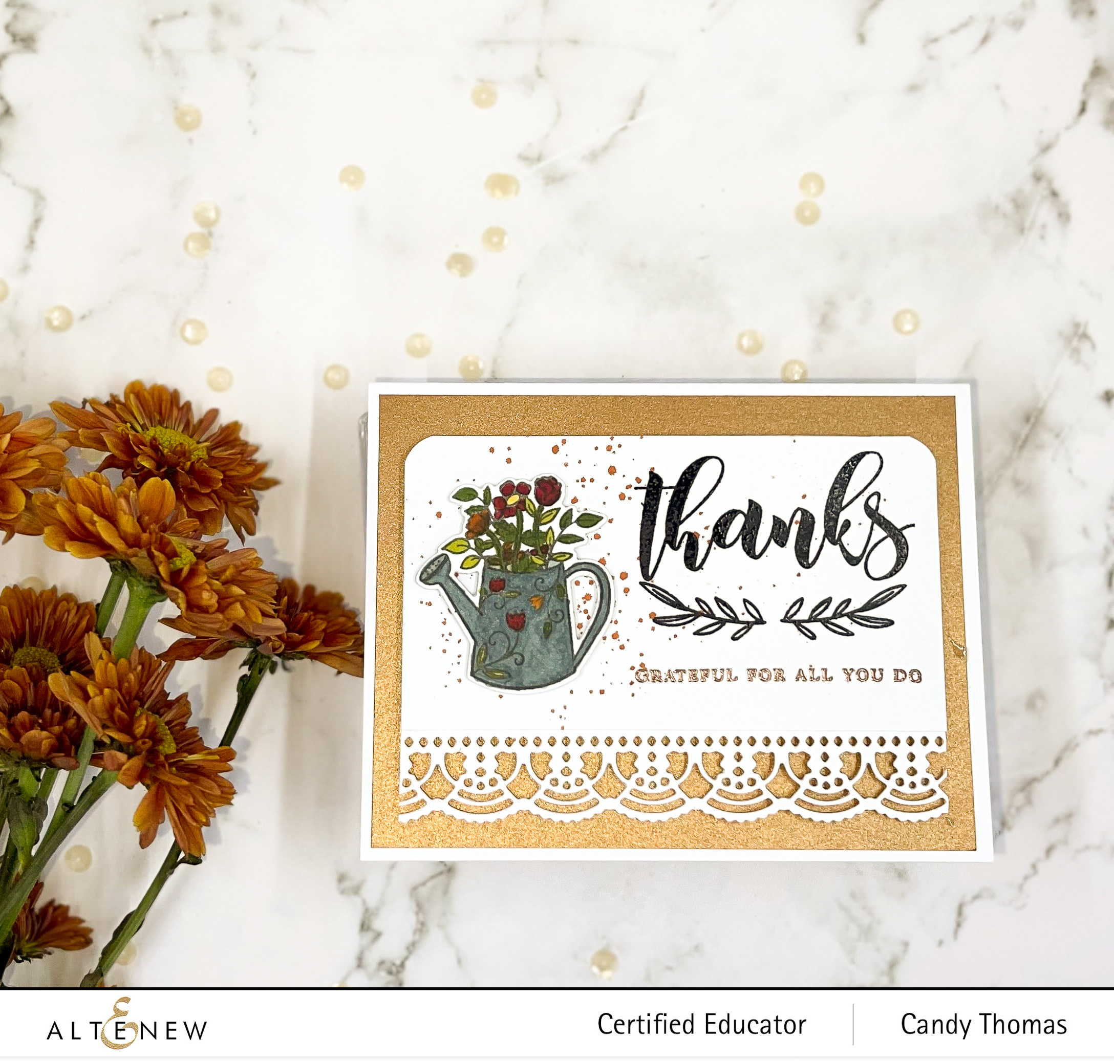 Thanks and Gratitude